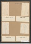 Amphiprora tahitensis Grun. (de-Toni-Nr.: Genus 29, Species 1321) Zeichnungen Sammlung Grunow Nr. 2550 (NHMW-BOT-W0369727)